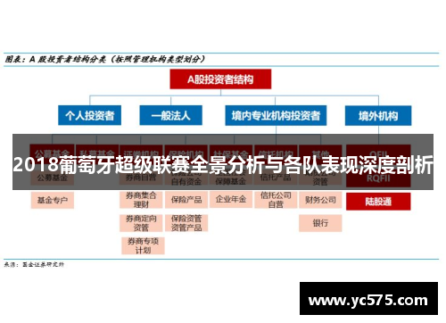2018葡萄牙超级联赛全景分析与各队表现深度剖析