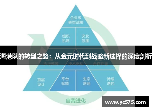 海港队的转型之路：从金元时代到战略新选择的深度剖析